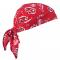 Ergodyne 6710 Chill-Its Cooling Triangle Hat w/ Polymers